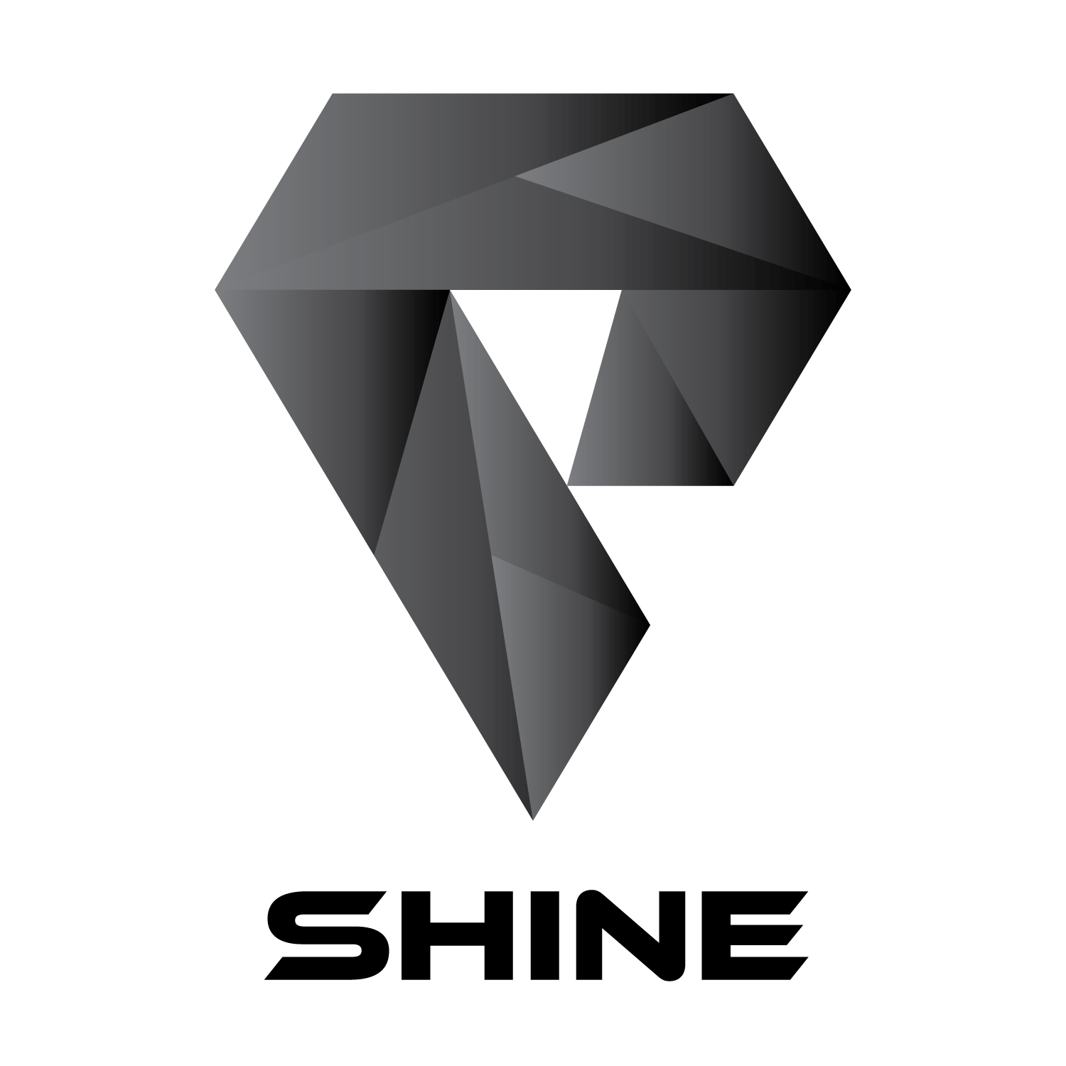 SHINE GROUP