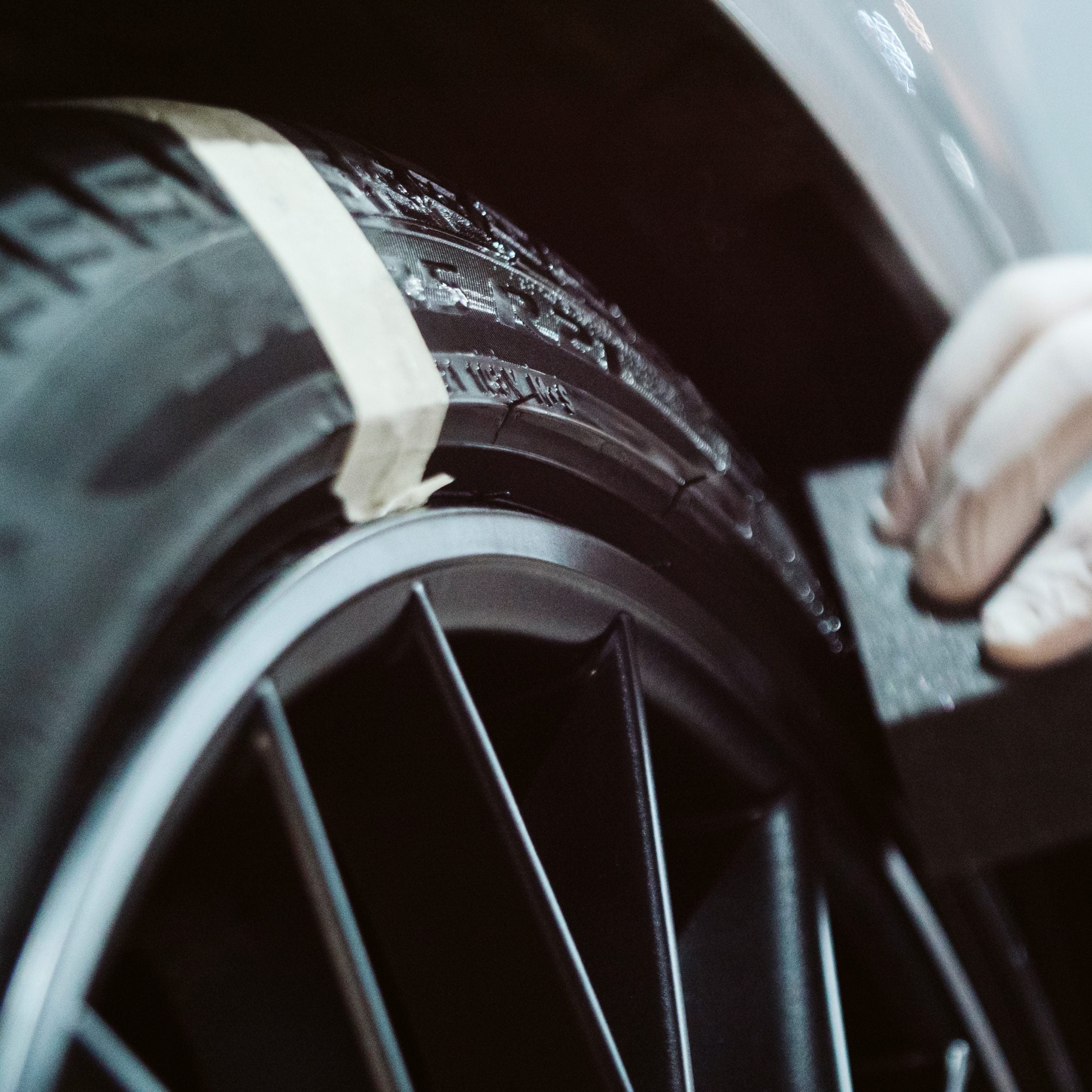 Black Gum - PROELITE