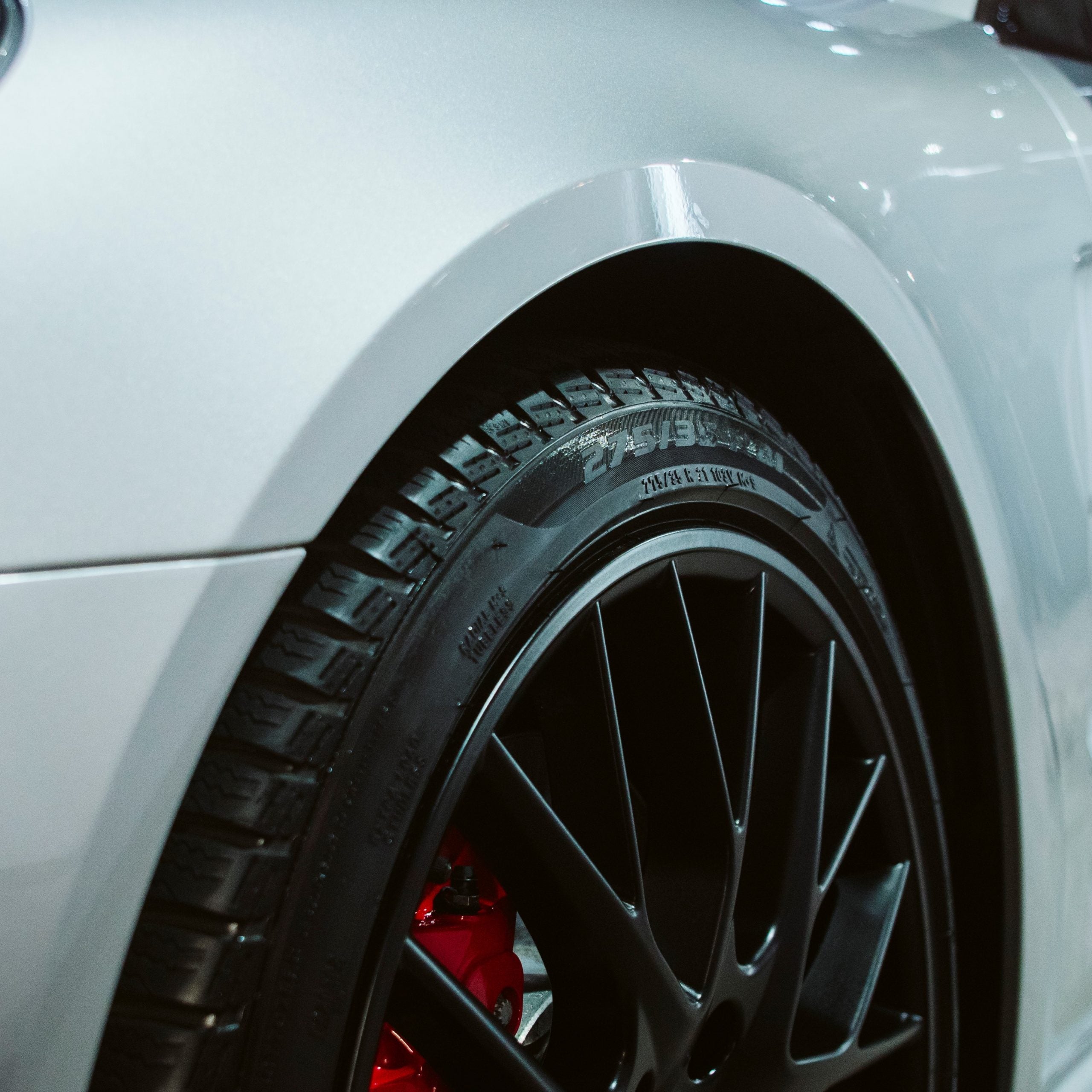 Black Gum - PROELITE