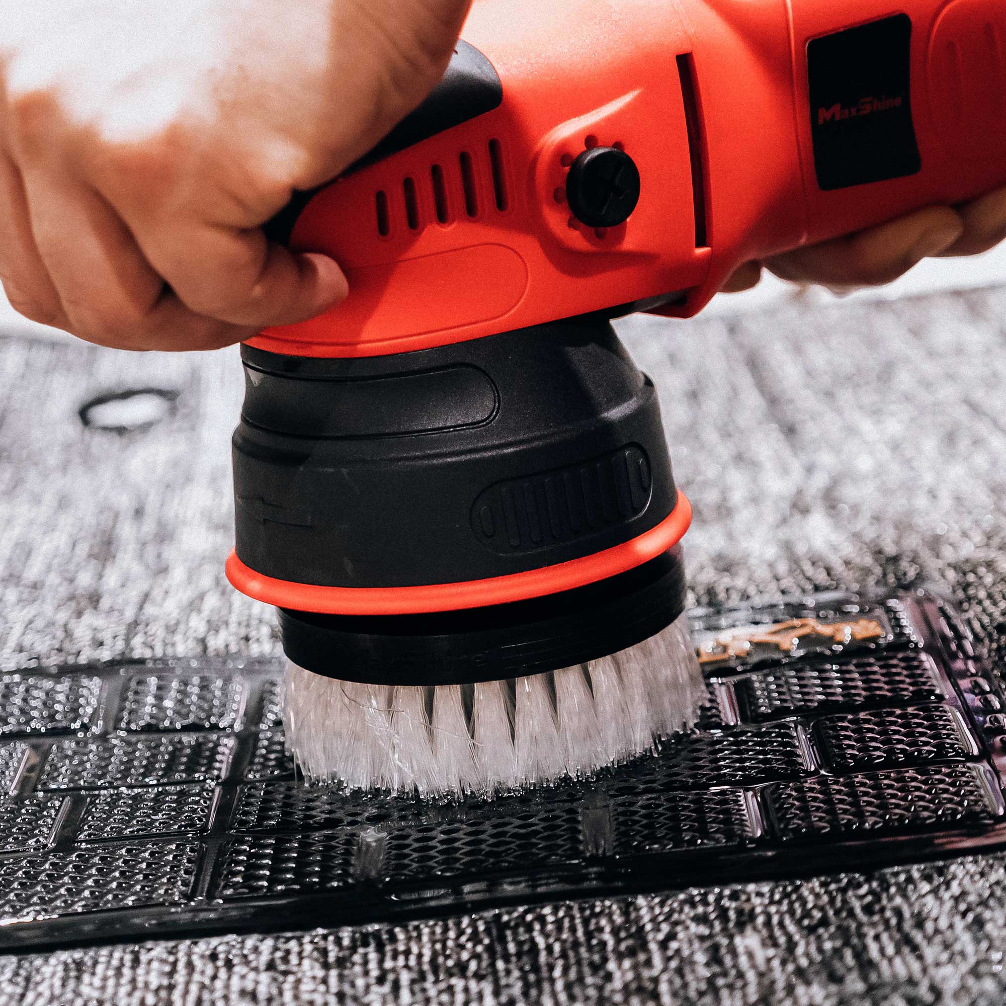Dual Action Carpet Brush (3.5") - MAXSHINE