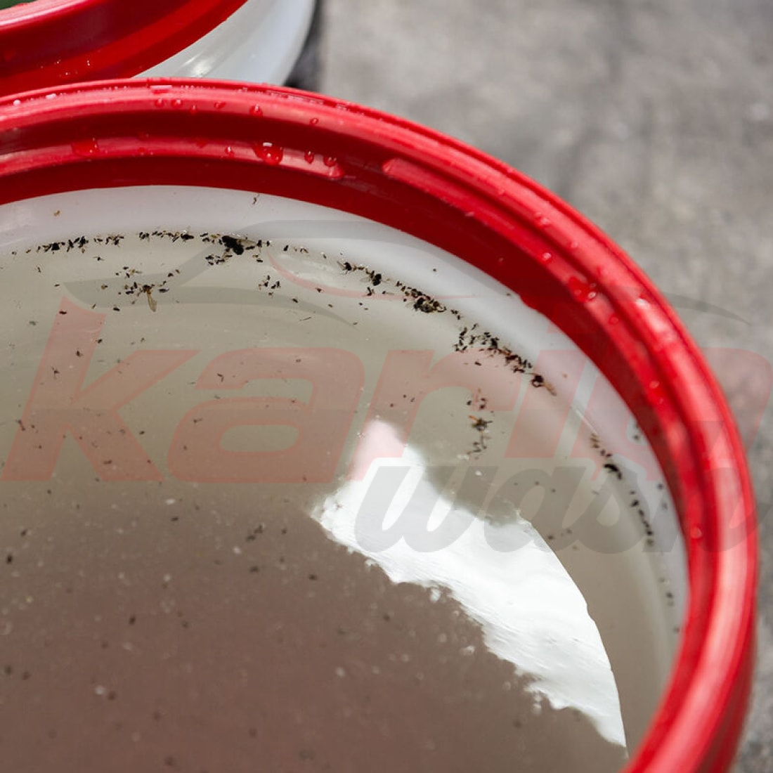 Bug + Tar Remover - CHEMICAL GUYS - KARIBWASH