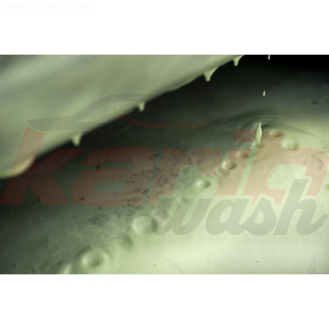 Detailing Foam Camelleo - Mousse active à changement de couleur - ELITE DETAILER - KARIBWASH