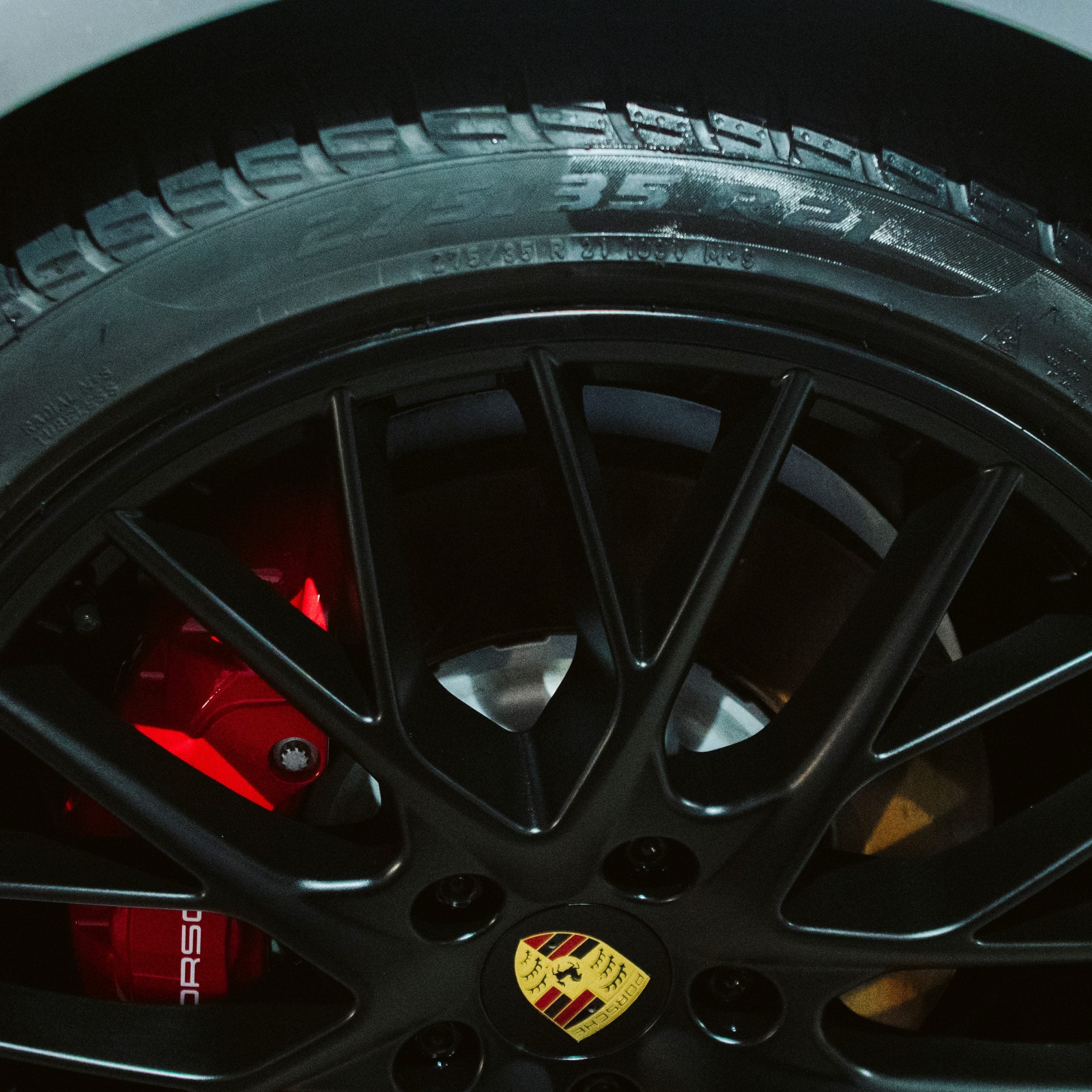 Black Gum - PROELITE